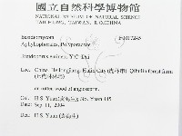 登錄號:F0017245藏品圖，第3張
