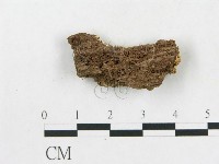 登錄號:F0017245藏品圖，第4張
