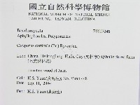 登錄號:F0017246藏品圖，第2張