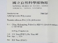 登錄號:F0017247藏品圖，第2張