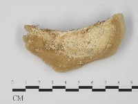 登錄號:F0017247藏品圖，第3張
