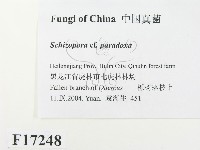 登錄號:F0017248藏品圖，第2張