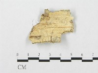 登錄號:F0017248藏品圖，第1張