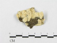 登錄號:F0017248藏品圖，第4張