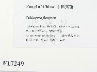登錄號:F0017249藏品圖，第2張