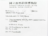 登錄號:F0017250藏品圖，第3張