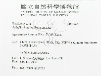 登錄號:F0017251藏品圖，第3張