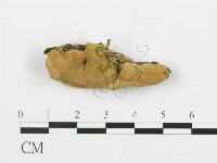 登錄號:F0017251藏品圖，第1張