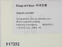 登錄號:F0017252藏品圖，第2張