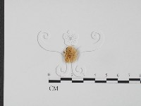 登錄號:F0017252藏品圖，第3張