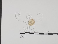 登錄號:F0017252藏品圖，第1張