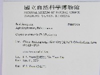 登錄號:F0017253藏品圖，第2張