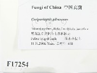 登錄號:F0017254藏品圖，第2張