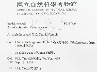 登錄號:F0017255藏品圖，第3張