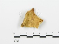 登錄號:F0017255藏品圖，第4張