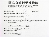 登錄號:F0017257藏品圖，第2張