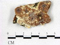 登錄號:F0017257藏品圖，第1張