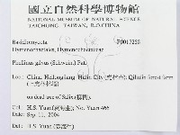 登錄號:F0017258藏品圖，第3張