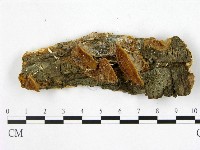 登錄號:F0017258藏品圖，第5張