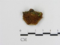登錄號:F0017259藏品圖，第1張