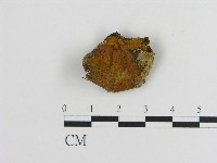 登錄號:F0017259藏品圖，第3張