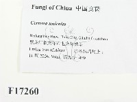 登錄號:F0017260藏品圖，第2張