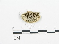 登錄號:F0017260藏品圖，第1張