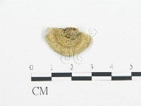 登錄號:F0017260藏品圖，第4張