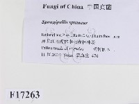 登錄號:F0017263藏品圖，第2張