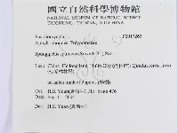 登錄號:F0017263藏品圖，第3張