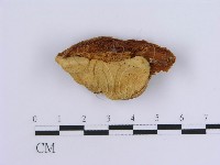 登錄號:F0017263藏品圖，第1張