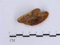 登錄號:F0017263藏品圖，第4張