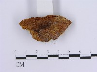 登錄號:F0017263藏品圖，第5張