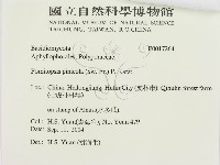 松生擬層孔菌藏品圖，第3張
