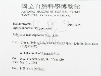 登錄號:F0017265藏品圖，第3張