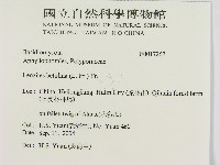 登錄號:F0017267藏品圖，第2張