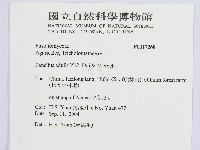 登錄號:F0017268藏品圖，第2張