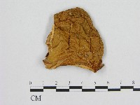 登錄號:F0017268藏品圖，第1張