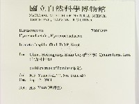 登錄號:F0017269藏品圖，第2張