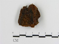 登錄號:F0017269藏品圖，第1張