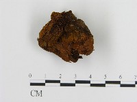 登錄號:F0017269藏品圖，第3張