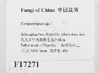 登錄號:F0017271藏品圖，第2張
