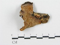 登錄號:F0017271藏品圖，第1張