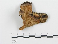 登錄號:F0017271藏品圖，第4張