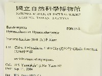 登錄號:F0017272藏品圖，第2張