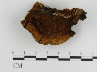 登錄號:F0017272藏品圖，第3張