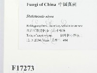 登錄號:F0017273藏品圖，第2張