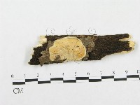 登錄號:F0017273藏品圖，第1張