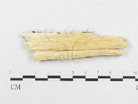 登錄號:F0017273藏品圖，第4張