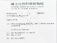 硬孔菌屬藏品圖，第3張